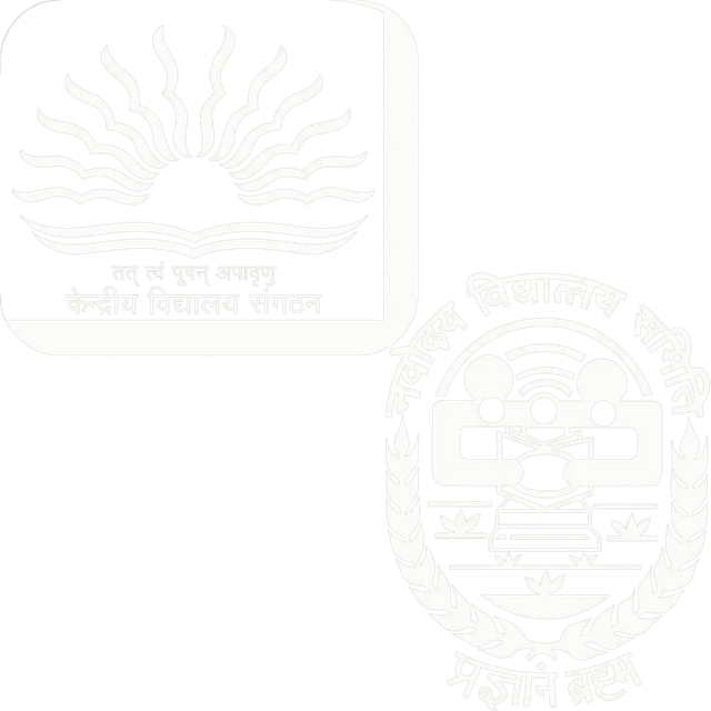 KVS/NVS logo